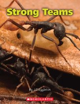 Connectors- Strong Teams