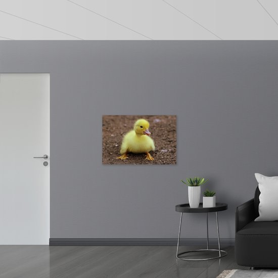 WallClassics - Bois - Happy Yellow Chick - 90x60 cm - 9 mm d'épaisseur - Photo sur Bois (Avec Système d'accrochage)
