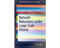 Network Robustness Under Large-Scale Attacks