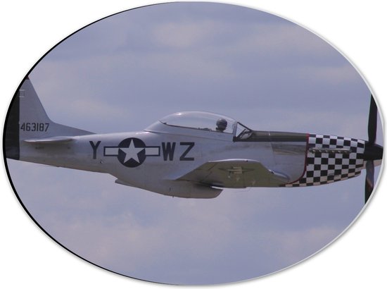 WallClassics - Dibond Ovaal - Zweefvliegtuig in de Lucht - 40x30 cm Foto op Ovaal (Met Ophangsysteem)