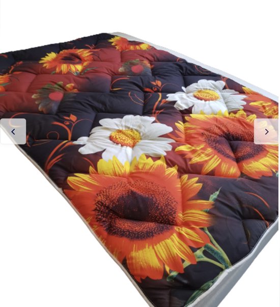 Dekbed 200 X 200 Cm Voor Vier Seizoenen - Dun En Licht Voor De Zomer Warm Voor De Winter 2 Delige Set