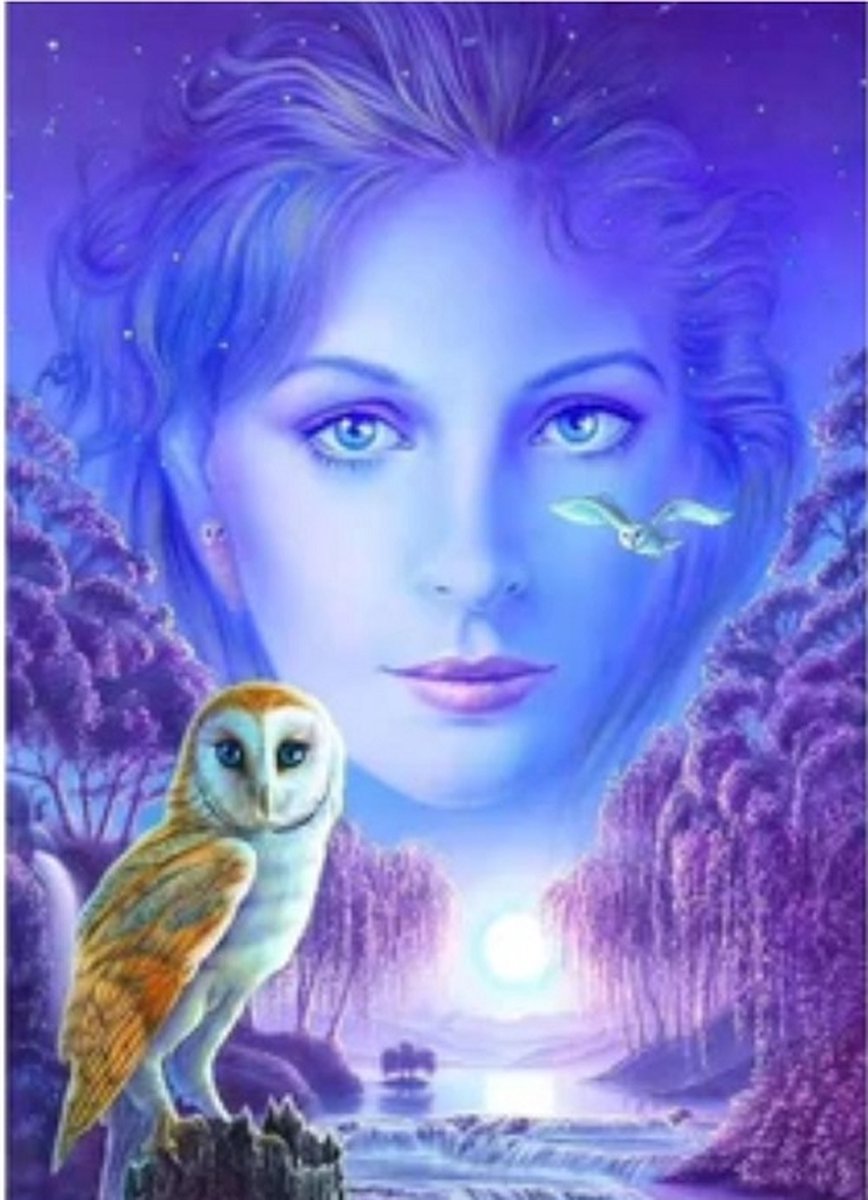 Denza - Diamond painting vrouw met uil voor volwassenen 40 x 50 cm volledige bedrukking ronde steentjes direct leverbaar - voor volwassenen