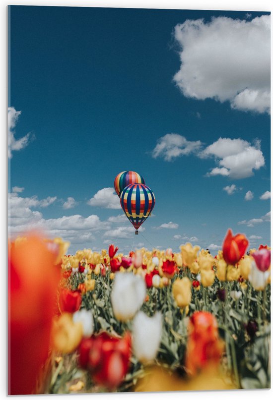 Acrylglas - Twee Luchtballonnen boven Meerkleurig Tulpenveld - 50x75 cm Foto op Acrylglas (Wanddecoratie op Acrylaat)