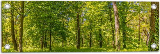 Tuinposter – Groen Bos in de Lente met Verschillende Bomen - 60x20 cm Foto op Tuinposter (wanddecoratie voor buiten en binnen)