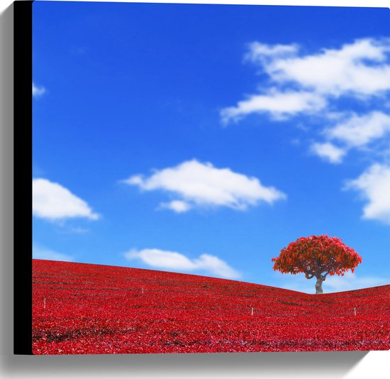 Canvas - Kleurrijk Rood Gekleurd Landschap met Blauwe Lucht - 40x40 cm Foto op Canvas Schilderij (Wanddecoratie op Canvas)