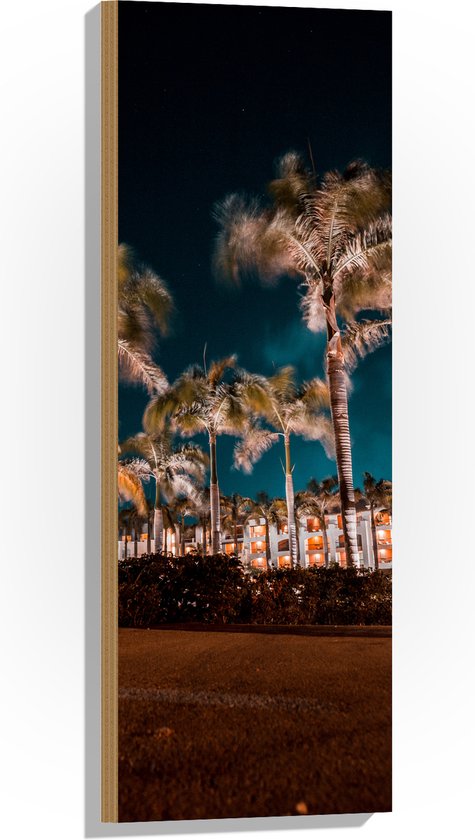 Hout - Verlichte Palmbomen in Nacht - 30x90 cm - 9 mm dik - Foto op Hout (Met Ophangsysteem)