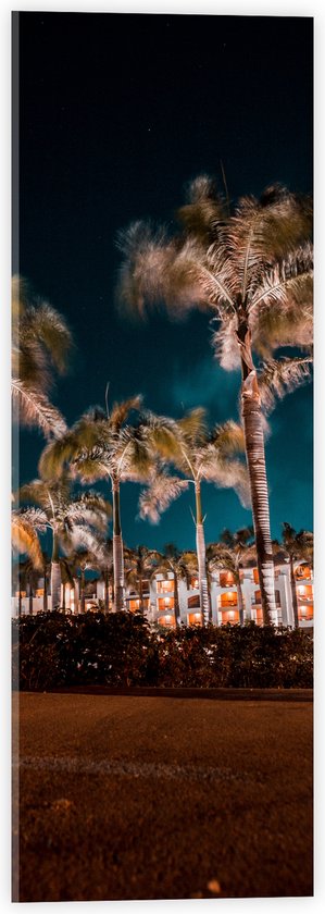 Acrylglas - Verlichte Palmbomen in Nacht - 20x60 cm Foto op Acrylglas (Wanddecoratie op Acrylaat)