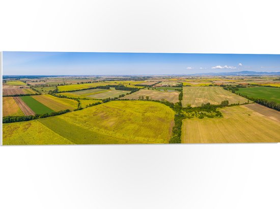 PVC Schuimplaat - Bovenaanzicht Landschap met Gras en Planten - 90x30 cm Foto op PVC Schuimplaat (Met Ophangsysteem)