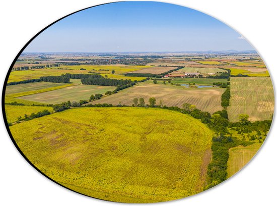 Dibond Ovaal - Bovenaanzicht Landschap met Gras en Planten - 28x21 cm Foto op Ovaal (Met Ophangsysteem)