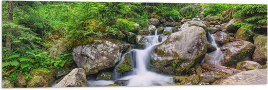 Een boswaterval stroomt over grote, mosbegroeide rotsen, omringd door varens en bomen.