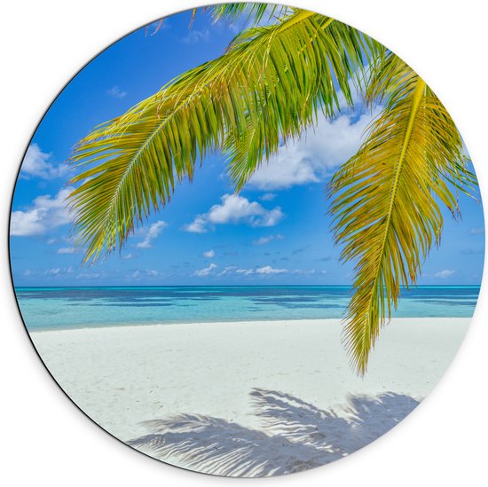 Dibond Muurcirkel - Palmbladeren Hangend voor Tropisch Eiland met Breed Strand - 70x70 cm Foto op Aluminium Muurcirkel (met ophangsysteem)