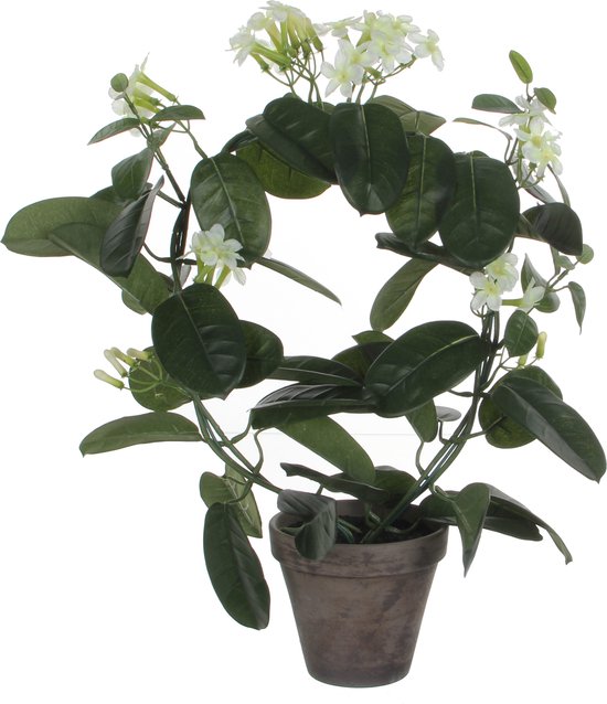 Plante artificielle Fleur de mariée Blanc - H 50cm - Pot décoratif en céramique - Décorations Mica
