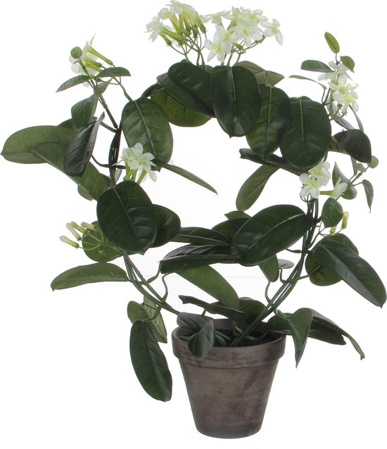 Mica Decorations Kunstplant - Stephanotis bruidsbloem - wit - H50 x D40 cm