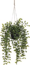 Mica Decorations Ficus Artificiel Plante Suspendue en Pot - H46 x Ø20 cm - Vert