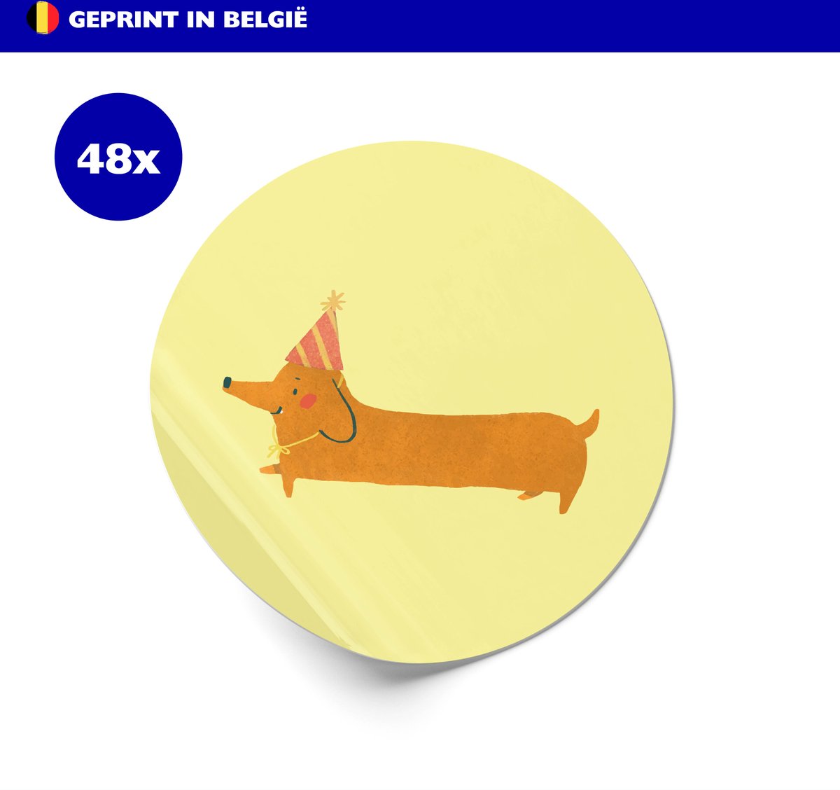 Stickers verjaardag kind | per 48 | Traktatie | Uitdelen | Sluitzegel | Bedankje | Bedankt | Envelop | Cadeau | Gift | Cadeauzakje | Traktatie | Inpakken| Verjaardag | Sticker | Stijlvol | 4cm | 40mm