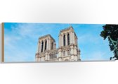 WallClassics - Hout - Notre-Dame Kathedraal - Parijs - 120x40 cm - 9 mm dik - Foto op Hout (Met Ophangsysteem)