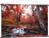 Textielposter - Bos met Stromend Water en Roodkleurige Bladeren - 120x80 cm Foto op Textiel