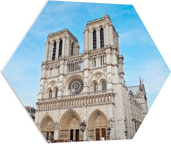 WallClassics - Plaque Mousse PVC Hexagone - Cathédrale Notre-Dame - Paris - 80x69,6 cm Photo sur Hexagone (Avec Système d'accrochage)