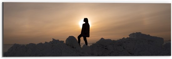 WallClassics - Dibond - Vrouw Poserend op Hoop Sneeuw - 60x20 cm Foto op Aluminium (Met Ophangsysteem)