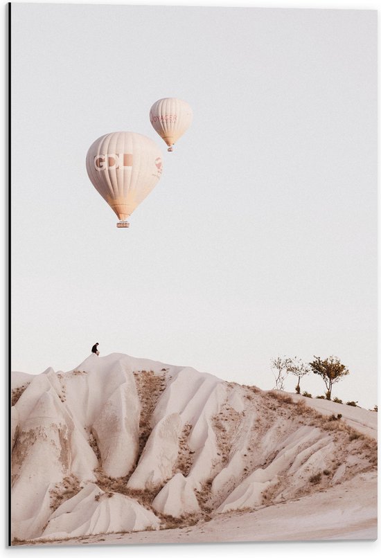 WallClassics - Dibond - Beige en Bruine Luchtballonnen boven Rotslandschap - 40x60 cm Foto op Aluminium (Wanddecoratie van metaal)