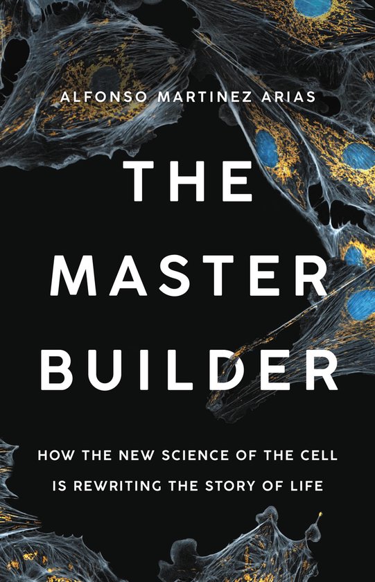 The Master Builder - cover
