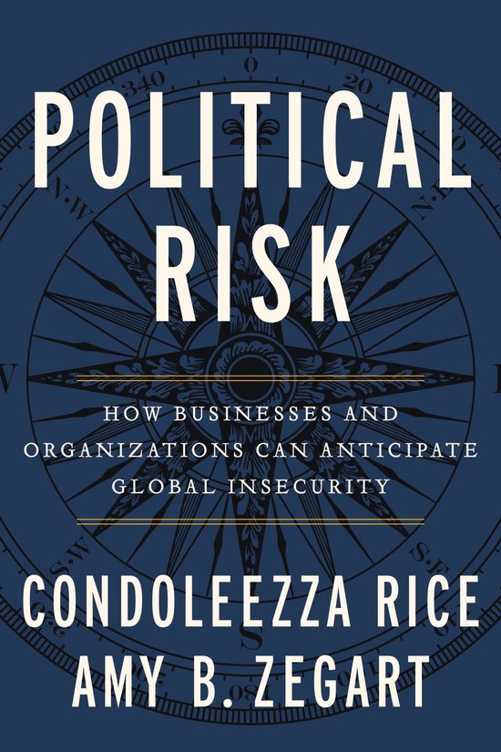 Boekomslag voor 'Political Risk' met een kompas en de tekst 'How Businesses and Organizations Can Anticipate Global Insecurity'.