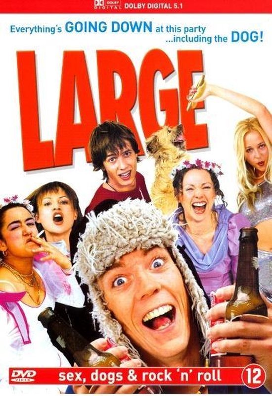 Jaquette DVD "Large". Un groupe de jeunes gens en tenues festives, riant et tenant des bouteilles d'alcool. Un chien est également visible.