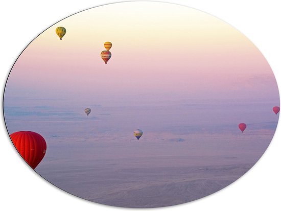 WallClassics - Dibond Ovaal - Ballonvaarten in Verschillende Luchtballonnen - 108x81 cm Foto op Ovaal (Met Ophangsysteem)