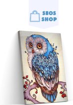 SEOS Shop ® Diamond Painting Volwassenen - Diamond Painting Kinderen - Diamond Painting Pakket Volledig - Blauwe Uil - 30x40 cm