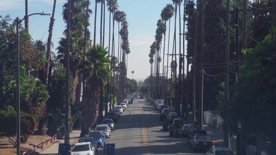 California Dream 1 - De zeven echtgenoten van Evelyn Hugo, Taylor