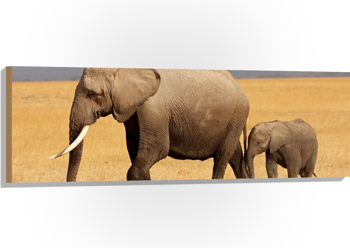 Hout - Afrikaanse Olifant met Baby Olifantje - 120x40 cm - 9 mm dik - Foto op Hout (Met Ophangsysteem)