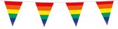 Regenboog vlaggenlijn - Vlaggetjes - Pride - Gay pride - Vlaggen - Flag - LGBTQ - 10 meter - Kunststof - multicolor