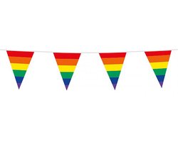 Regenboog vlaggenlijn - Vlaggetjes - Pride - Gay pride - Vlaggen - Flag - LGBTQ - 10 meter - Kunststof - multicolor