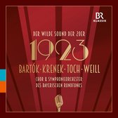 Symphonieorchester Des Bayerischen Rundfunks, Howard Arman - 1923 - The Wild Sound Of The 20s (CD)