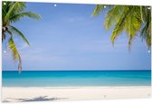 Tuinposter – Palmbladeren op Tropisch Strand - 150x100 cm Foto op Tuinposter (wanddecoratie voor buiten en binnen)