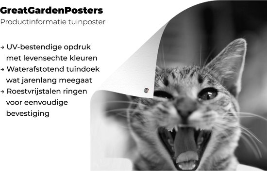 Affiche jardin - Toile jardin - Posters de jardin extérieur - Chat bâillant de près - noir et blanc - 80x120 cm - Jardin