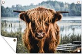 Tuinposter - Tuindoek - Tuinposters buiten - Koeien - Schotse hooglander - Bruin - Natuur - 120x80 cm - Tuin