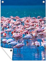 Tuinposter - Tuindoek - Tuinposters buiten - Flamingo - Water - Tropisch - Water - Roze - 90x120 cm - Tuin
