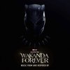 Various Artists - Black Panther: Wakanda Forever ( Music From and Inspired By) (2 LP) (Limited Edition)