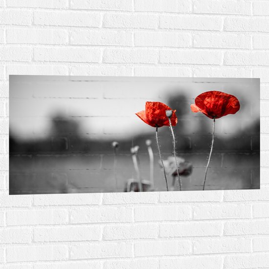 Muursticker - Rode Bloemen op Zwart-witte Achtergrond - 100x50 cm Foto op Muursticker