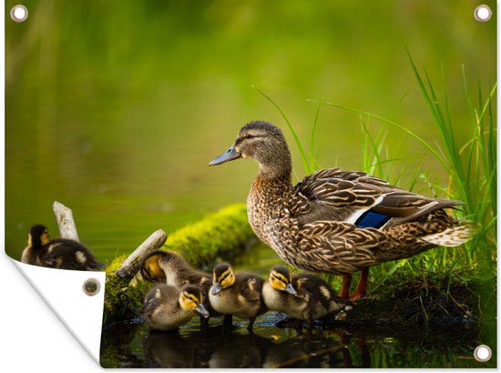 Décoration de Jardin Canard - Vogels - Water - Branche - Mousse - 40x30 cm