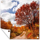 Tuinposters Boom - Pad - Herfst - 50x50 cm - Tuindoek - Buitenposter