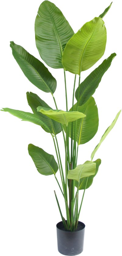 Greenmoods Plantes artificielles - Plantes artificielles - Plante Artificielle Strelitzia - Soie - 180 cm