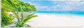 Acrylglas - Palmbladeren Hangend boven Wit Strand bij Helderblauwe Zee - 60x20 cm Foto op Acrylglas (Met Ophangsysteem)