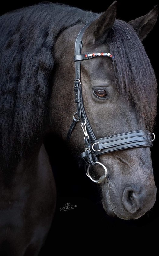 OnHorses V Frontal Cob Rouge/ White/ Blue - V Frontal Wit Full Rouge Wit Blauw Cob