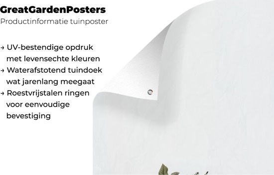 Affiche de jardin Highlander écossais - Fleurs - Animaux - 40x80 cm