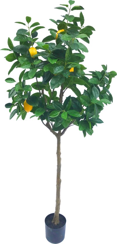 Greenmoods Kunstplanten - Kunstplanten - Kunst Citroenboom - Zijde - 165 cm