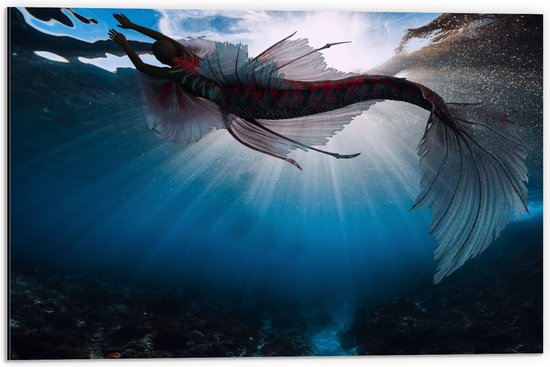 Dibond - Onderaanzicht van Zeemeermin Zwemmend bij Wateroppervlak - 60x40 cm Foto op Aluminium (Wanddecoratie van metaal)