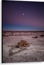 WallClassics - Toile - Ciel sombre sur paysage rocheux - 80x120 cm Photo sur toile (Décoration murale sur toile)