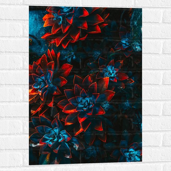 Muursticker - Blauwe Echeveria Struik met Rode Details op Planten - 50x75 cm Foto op Muursticker
